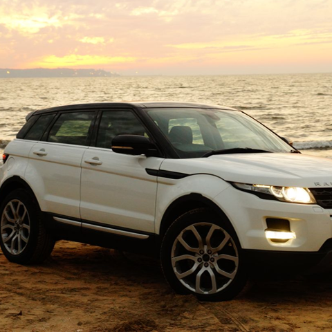 Car Rentals