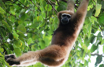 Mollem National Park