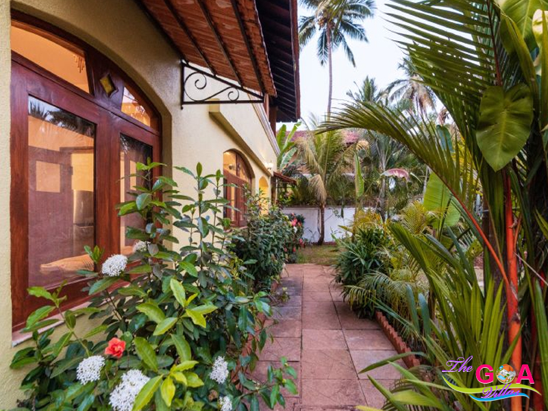 3 bhk private villa in Arpora